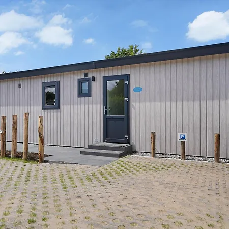 Pareloester - Ouddorp