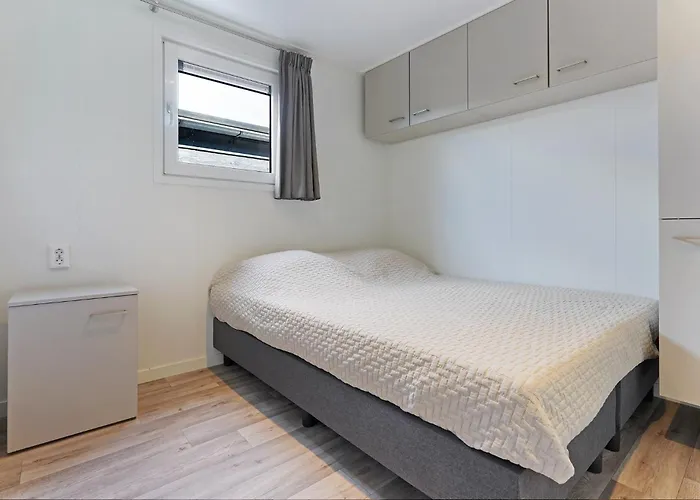 シャレー Pareloester - *