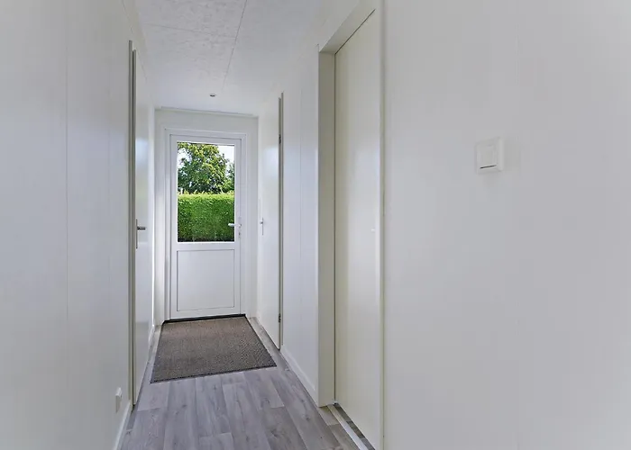 シャレー Pareloester -