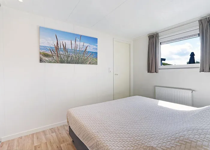 シャレー Pareloester -